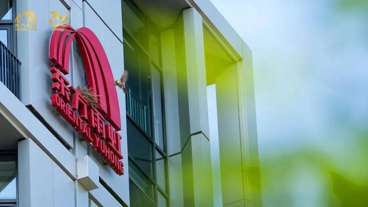 东方雨虹2025年实现营业收入275.79亿元，砂浆粉料年总产销量突破1200万